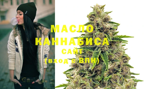 ешки Инта
