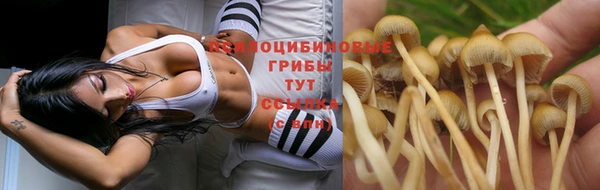 мяу мяу кристалл Иннополис
