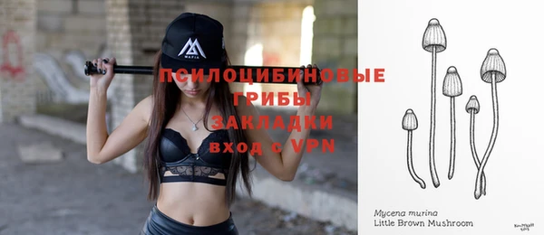 ешки Инта