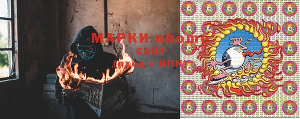 ешки Инта