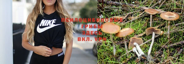 мяу мяу кристалл Иннополис