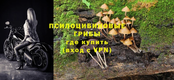 ешки Инта