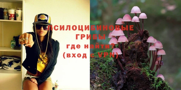 метадон Инсар